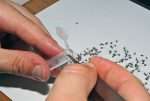 Mosquitoes with EEEV confirmed in Shrewsbury