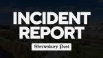 Woman charged with attempted murder, three arsons in Springfield
