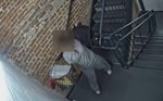 New Bedford woman charged with animal cruelty after video shows dog abuse