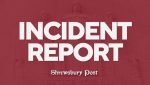 2-year-old girl dies after being struck by car in Chelsea